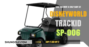 Renting Golf Carts at Disney World: What You Need to Know