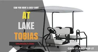 Renting Golf Carts at Lake Tobias: What You Need to Know