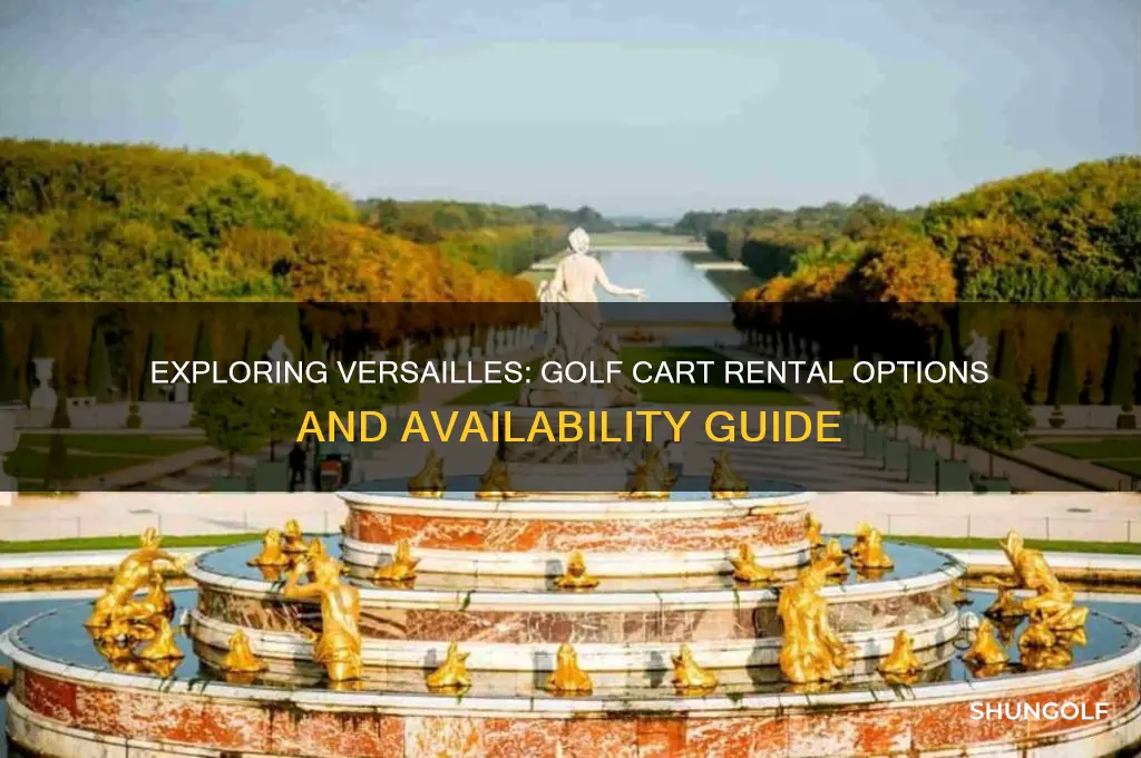can you rent a golf cart at versailles
