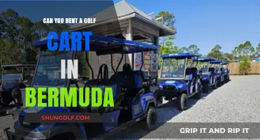 Exploring Bermuda: Golf Cart Rental Options for Visitors and Locals
