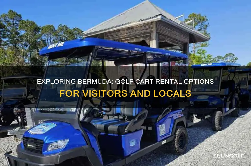 can you rent a golf cart in bermuda