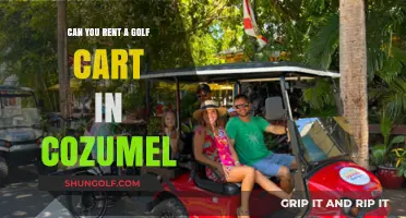 Exploring Cozumel: Renting Golf Carts for Island Adventures