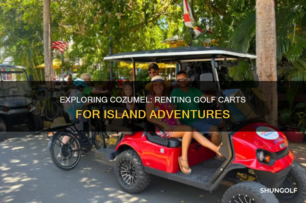 can you rent a golf cart in cozumel