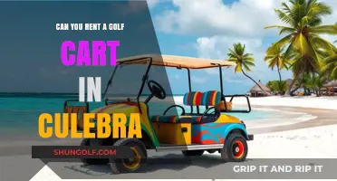 Renting Golf Carts in Culebra: Your Ultimate Island Transportation Guide
