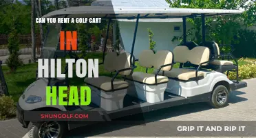Renting Golf Carts in Hilton Head: Your Ultimate Guide to Island Exploration