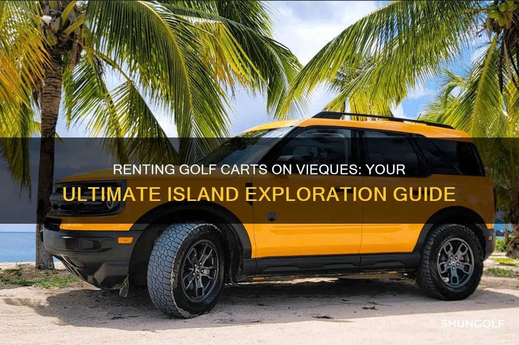 can you rent a golf cart on vieques