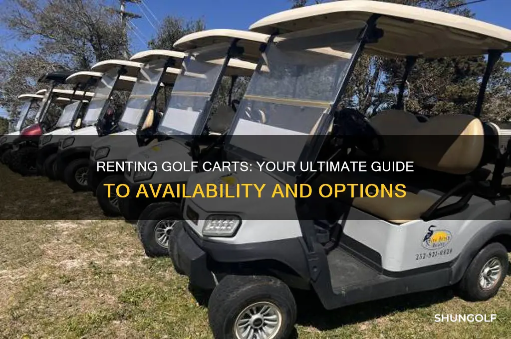 can you rent a golf cart