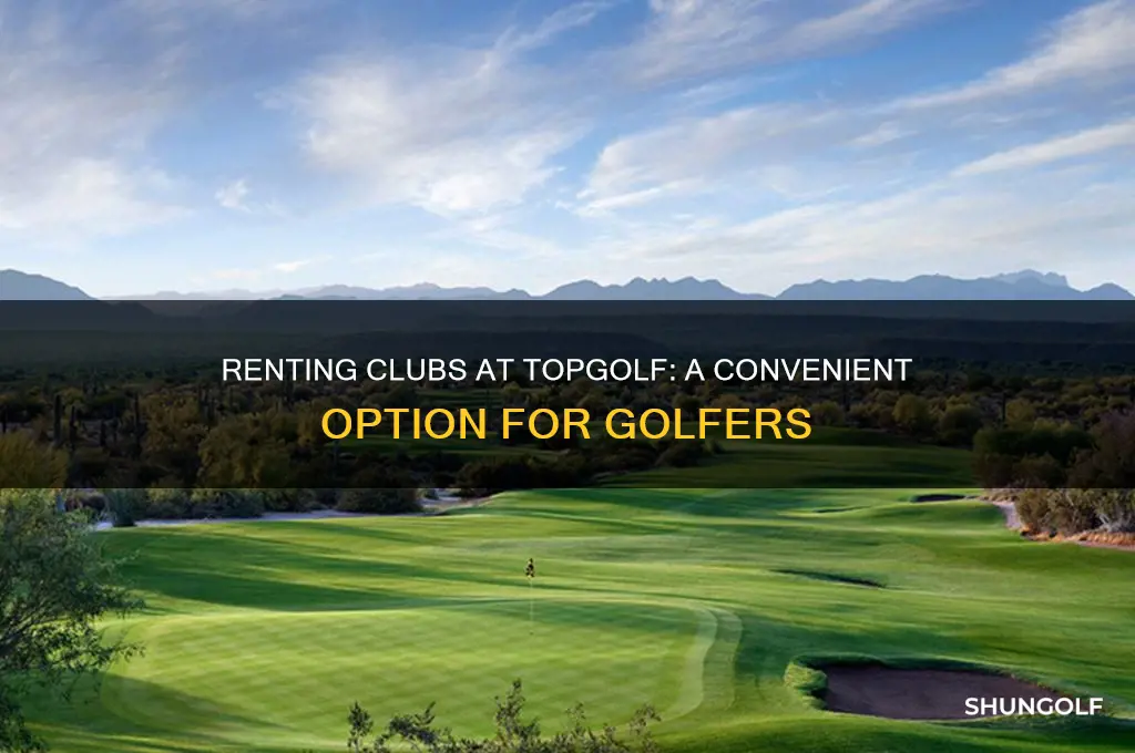 can you rent clubs at top golf