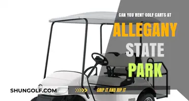 Renting Golf Carts at Allegany State Park: What You Need to Know