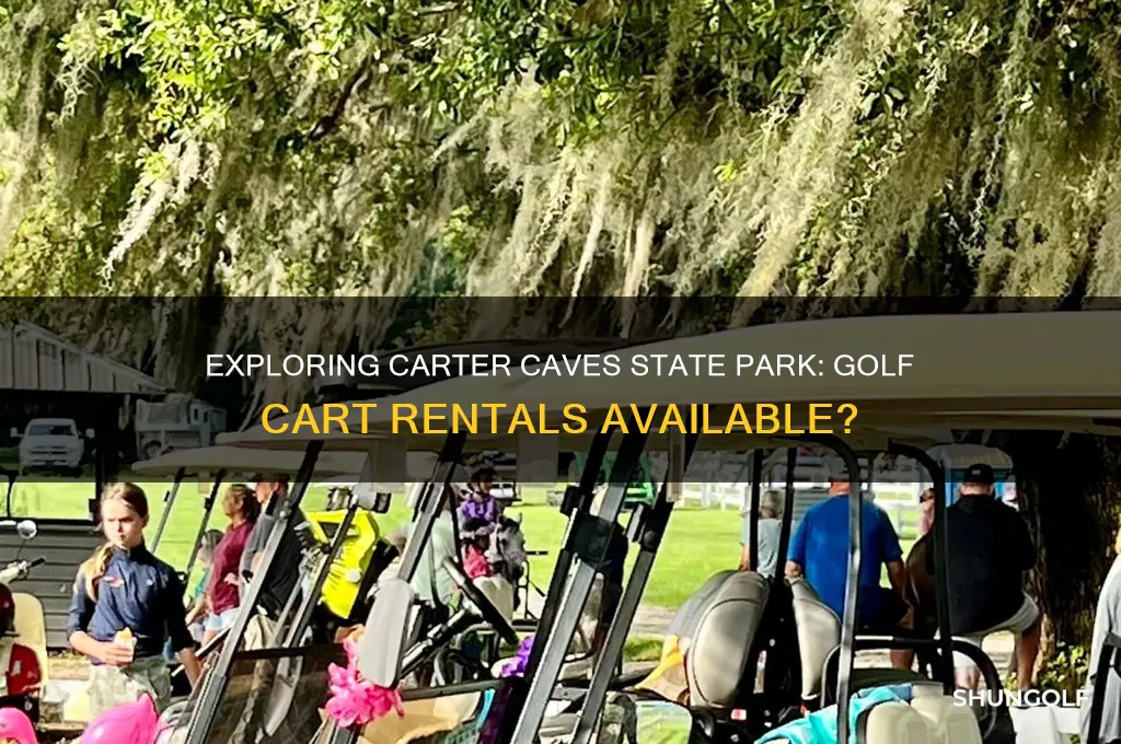 can you rent golf carts at carter caves state park