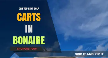 Exploring Bonaire: Golf Cart Rentals for Island Adventures Available?