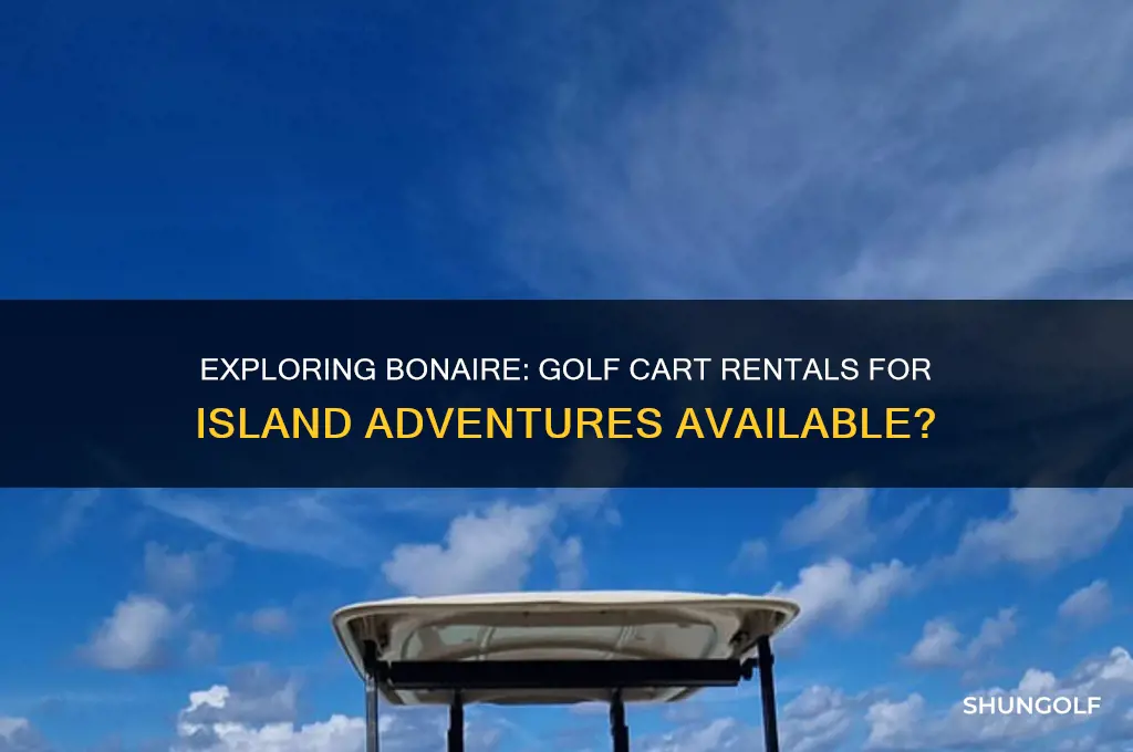 can you rent golf carts in bonaire