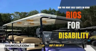 Accessible Ocho Rios: Golf Cart Rentals for Disability-Friendly Exploration
