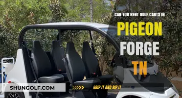 Renting Golf Carts in Pigeon Forge, TN: Your Ultimate Guide