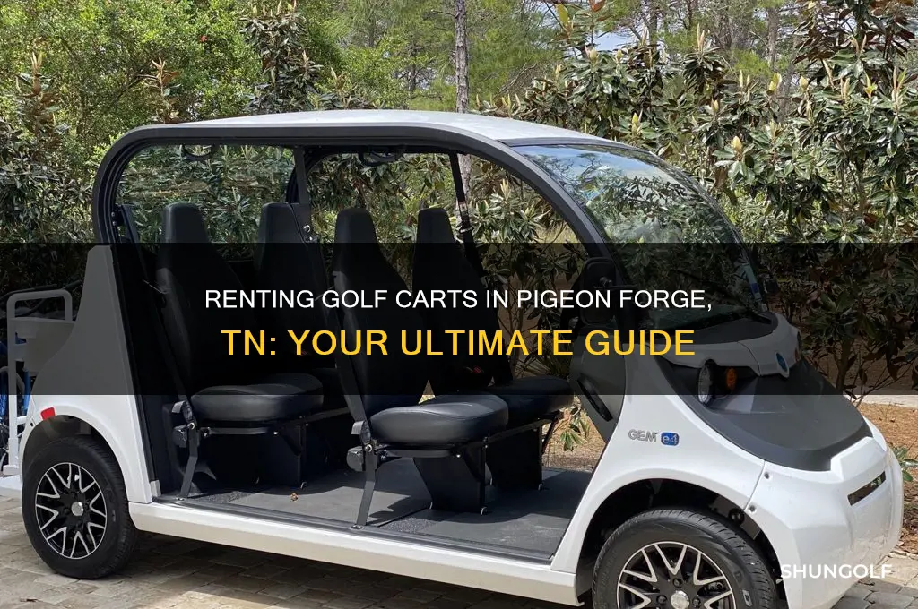 can you rent golf carts in pigeon forge tn