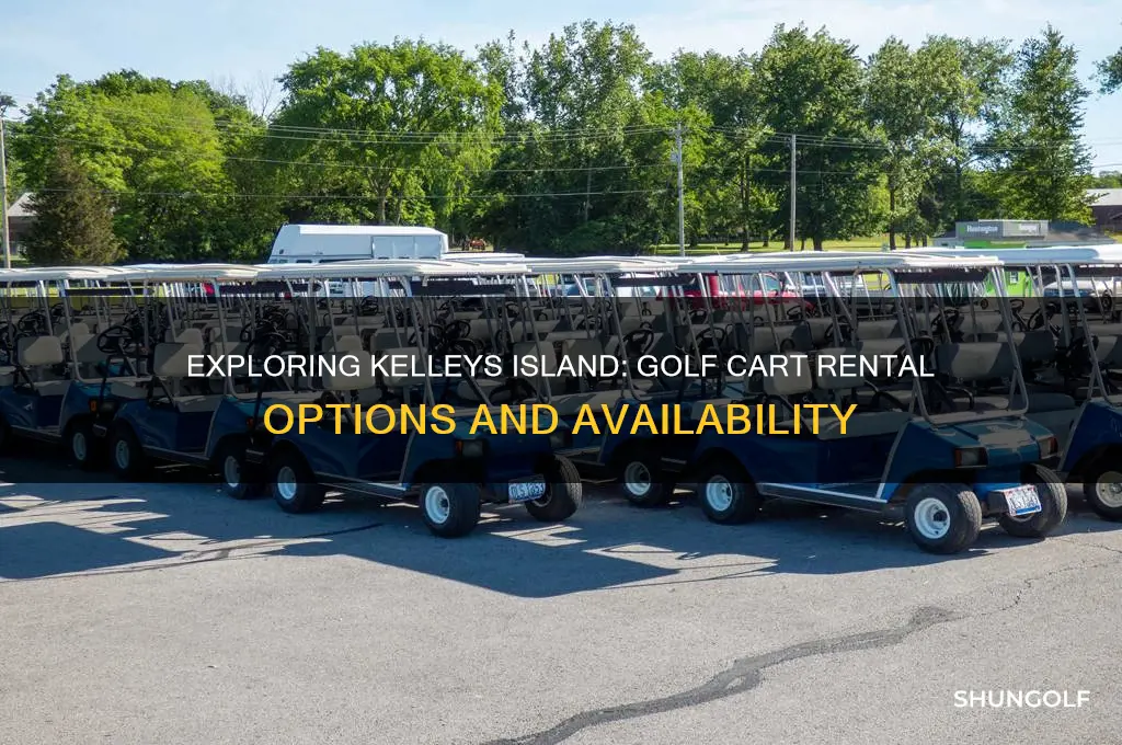 can you rent golf carts on kelleys island