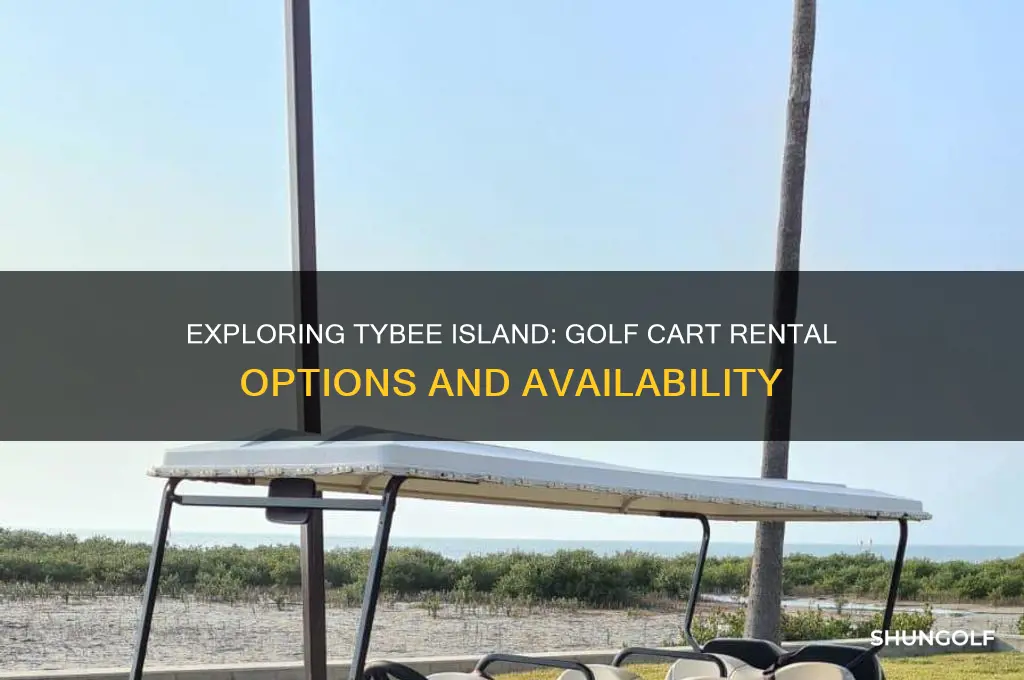can you rent golf carts on tybee island