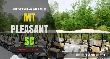 Renting Golf Carts in Mt Pleasant, SC: Your Ultimate Guide