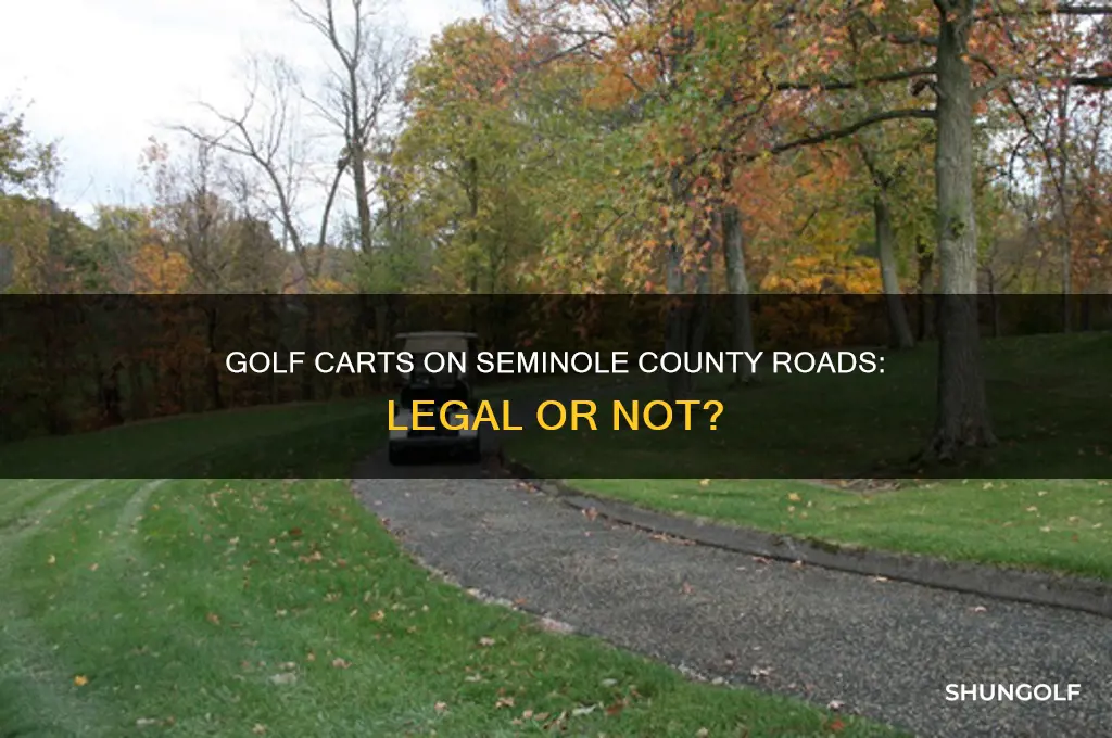 can you ride a golf cart on seminole county roads
