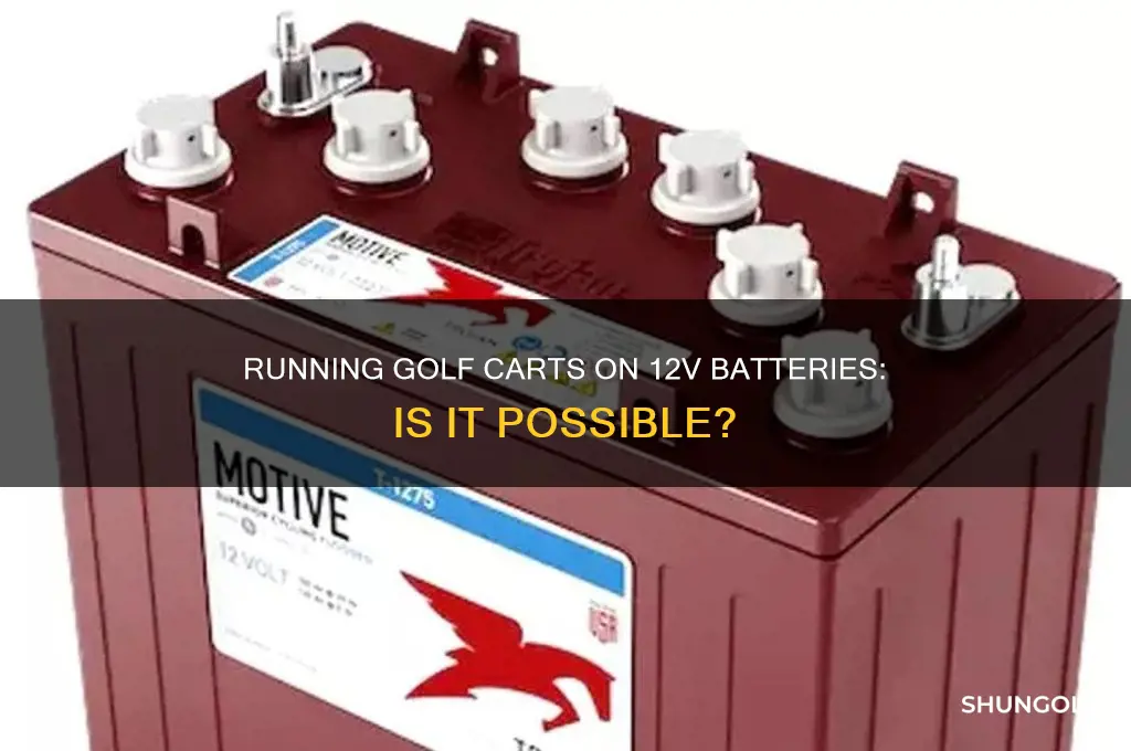 can you run golf carts on 12v batteries