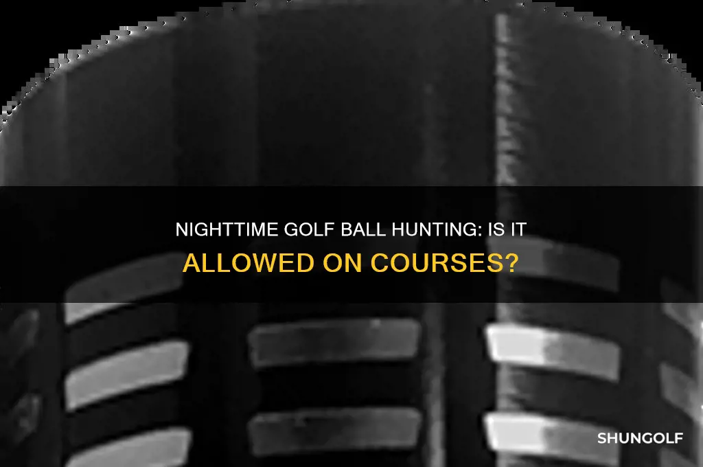 can you search a golf course for balls at night