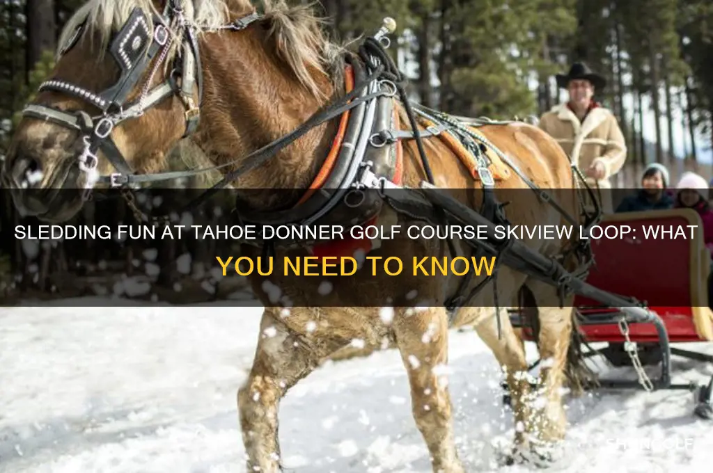 can you sled in tahoe donner golf course skiview loop