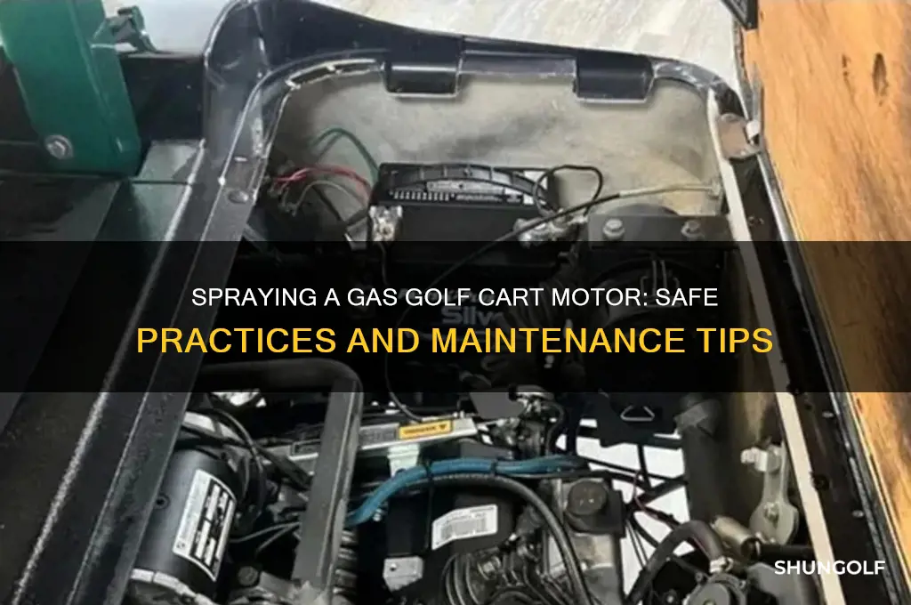 can you spray a gas golf cart motor