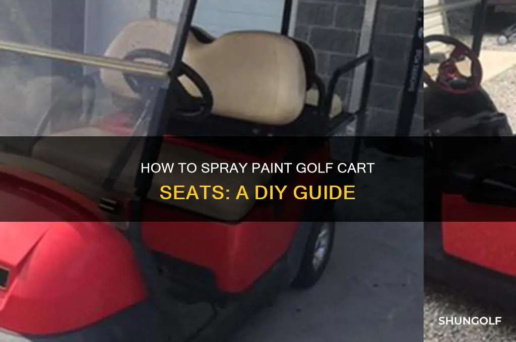 can you spray paint golf cart seats