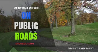 Golf Carts on Public Roads: Legal or Off-Limits?