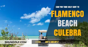 Exploring Flamenco Beach Culebra: Golf Cart Access Guide and Tips