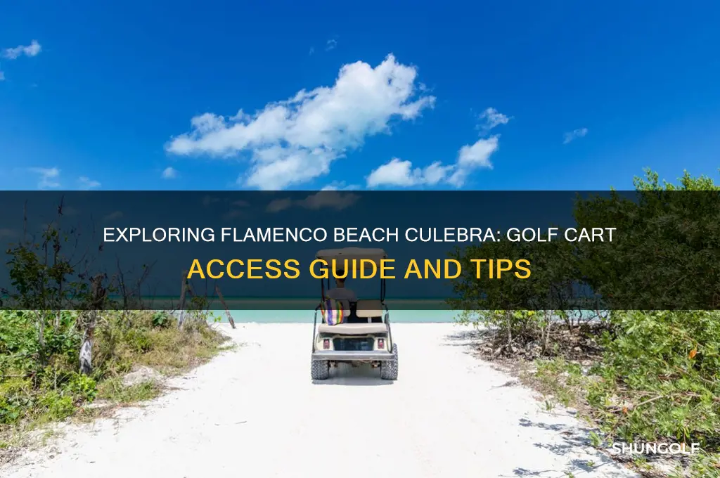 can you take golf cart to flamenco beach culebra