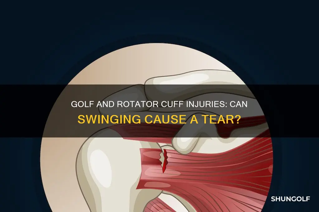 can you tear your rotator cuff playing golf