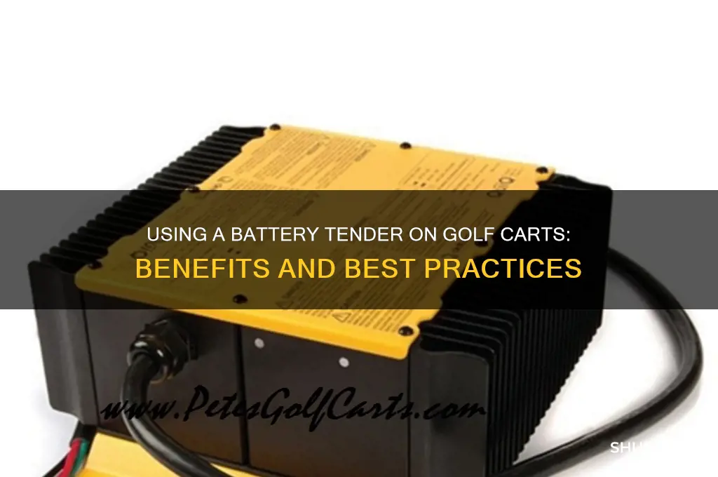 can you use a battery tender on a golf cart