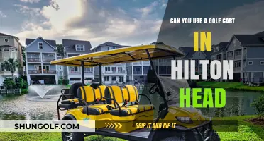 Exploring Hilton Head: Golf Cart Rules and Rental Options