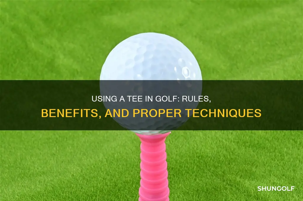 can you use a tee when playing golf
