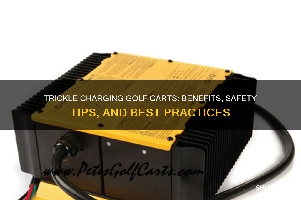 can you use a trickle charger on a golf cart