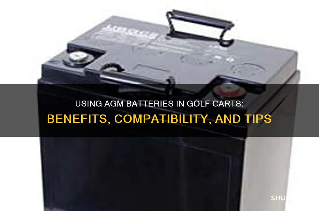 can you use agm batteries in a golf cart