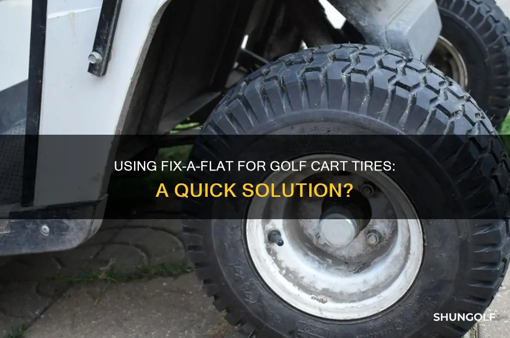 can you use fix a flat on golf cart tire