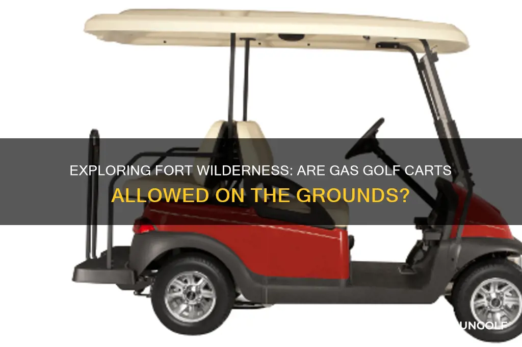 can you use gas golf carts at fort wilderness