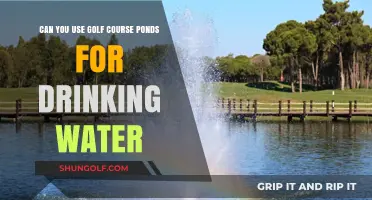 Golf Course Ponds: Safe for Drinking Water or Risky Choice?
