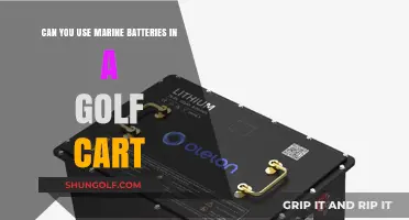 Marine Batteries in Golf Carts: Compatibility, Pros, and Cons Explained