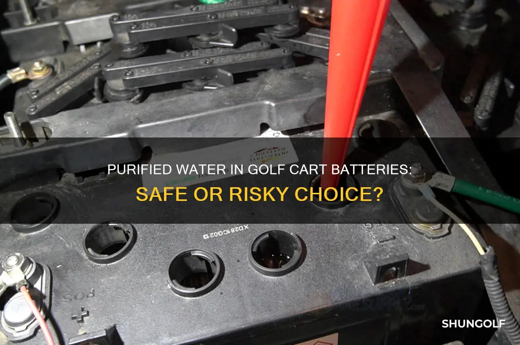 can you use purified water in a golf cart battery