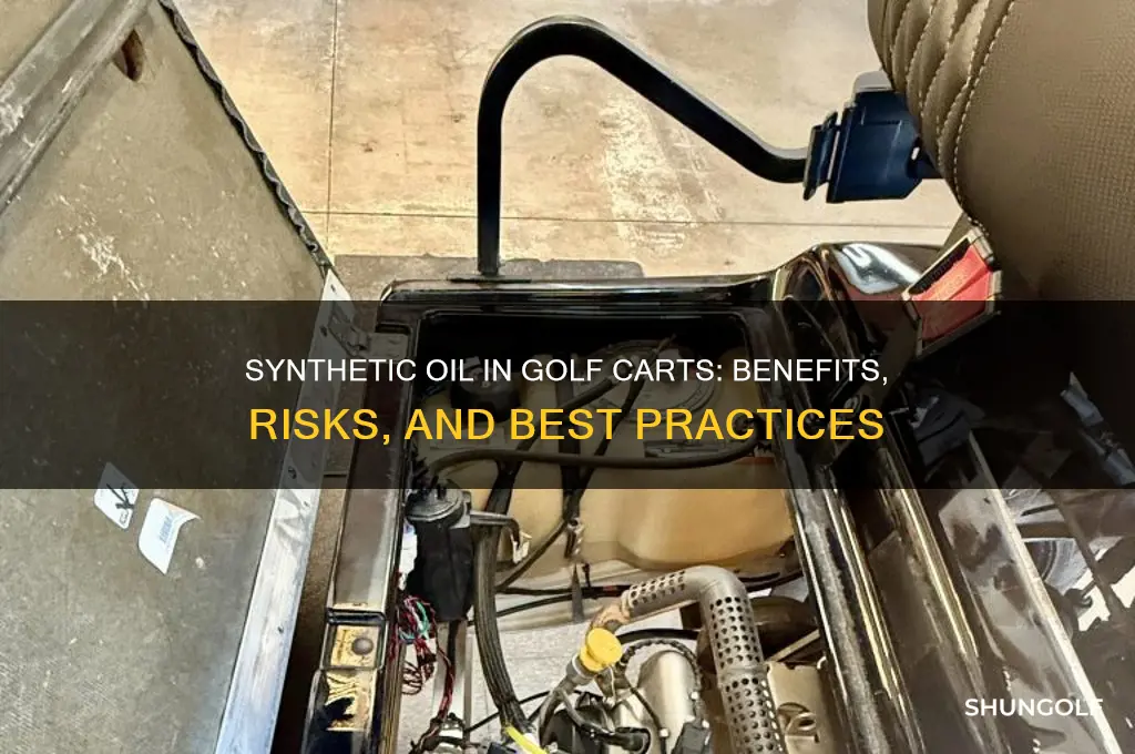 can you use synthetic oil in a golf cart