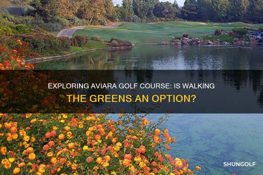 can you walk aviara golf course