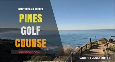 Exploring Torrey Pines: Can You Walk This Iconic Golf Course?