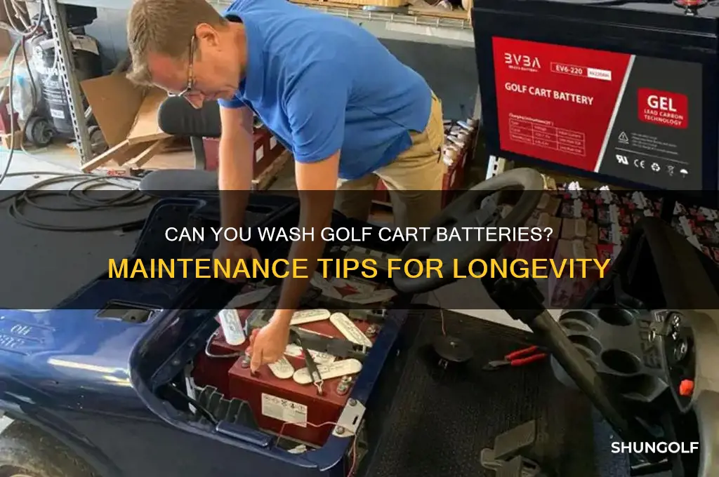 can you wash golf cart batteries