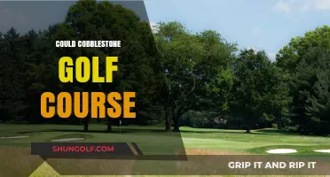Exploring the Unique Charm of Cobblestone Golf Course: A Golfer's Delight