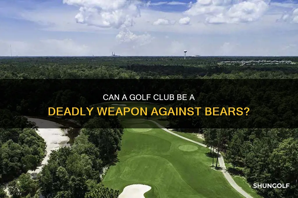 could you kill a bear with a golf club