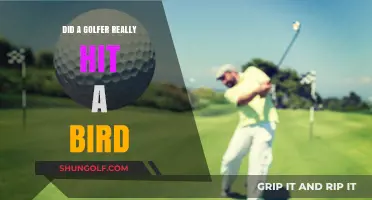 Golfer's Swing Accidentally Hits Bird: Fact or Fiction?