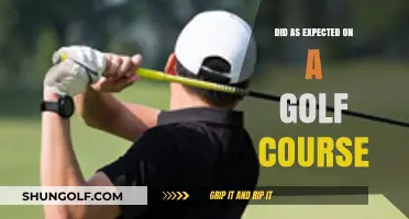 Golf Course Performance: Meeting Expectations with Precision and Consistency